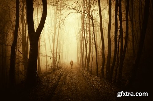 Collection of concept illustration of a man in a fog forest haze morning city 25 HQ Jpeg