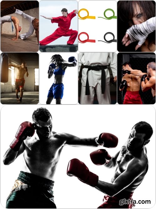 Stock Photos Sport Martial Arts Pack 7