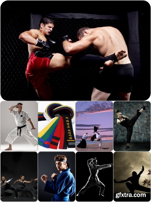 Stock Photos Sport Martial Arts Pack 7