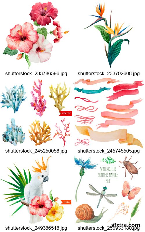 Amazing SS - Watercolor Design Elements, 25xEPS