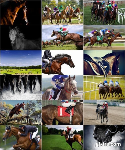 Collection of horse racing jockey horse rider equestrian sports racecourse 25 HQ Jpeg