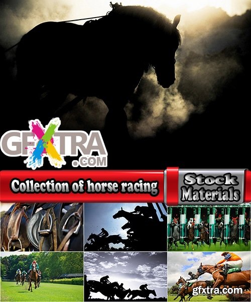 Collection of horse racing jockey horse rider equestrian sports racecourse 25 HQ Jpeg