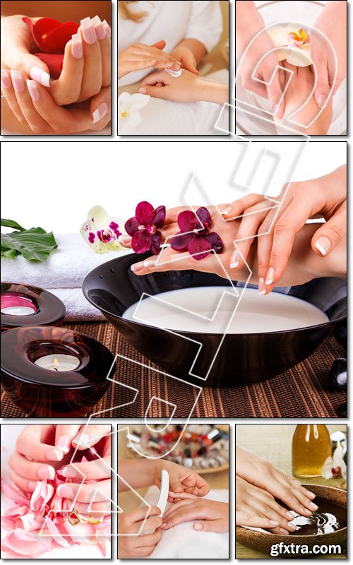 Spa treatment for hands. Luxury manicure concept - Stock photo