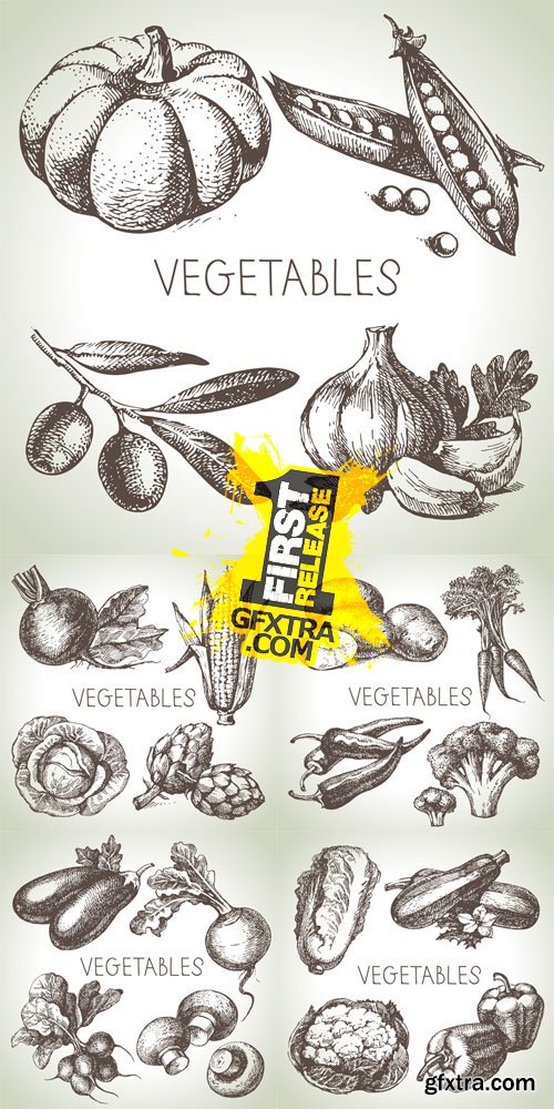 Vintage Vegetables Vector Set