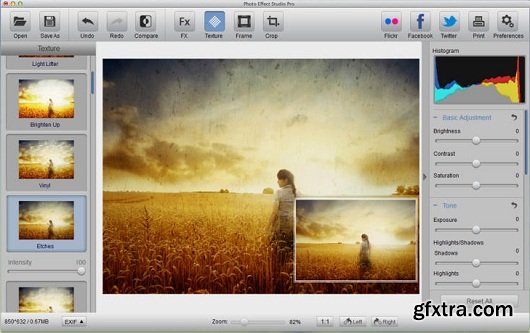 Photo Effect Studio Pro 4.1.3 (Mac OS X)