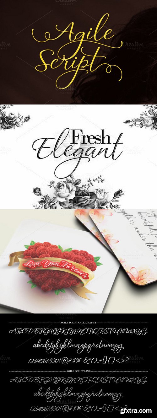 CM - Agile Script Typeface 333214 CM - Agile Script Typeface 333214