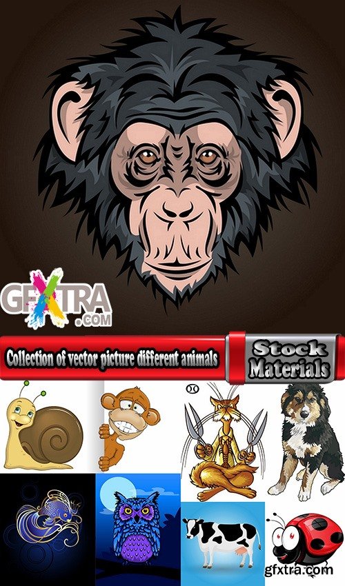 Collection of vector picture different animals 25 EPS