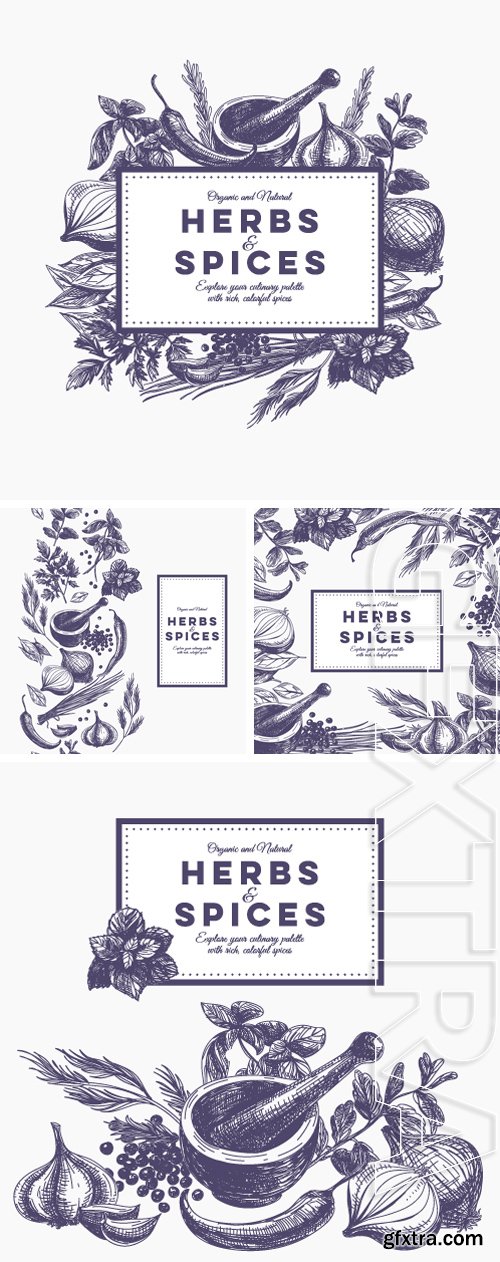 Stock Vectors - Vector background with hand drawn herbs and spices. Organic and fresh spices illustration