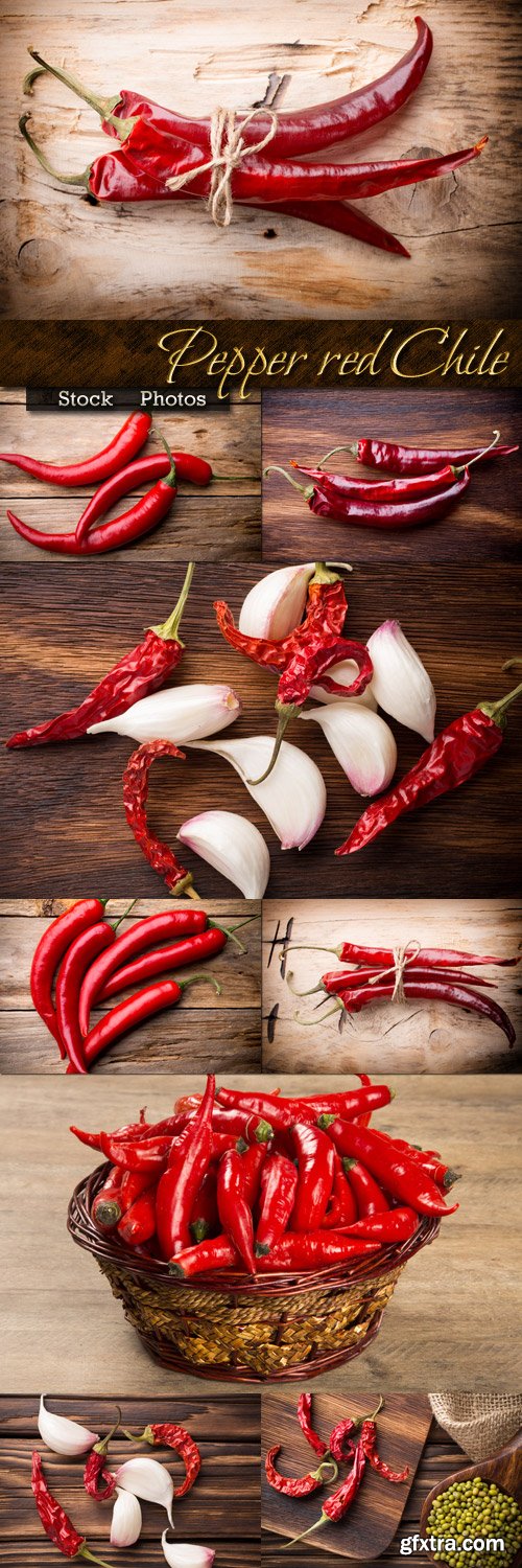 Chili Pepper on Wooden Background 10xJPG Chili Pepper on Wooden Background 10xJPG