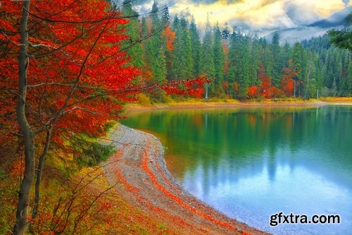 Collection of autumn forest fall landscape mountain nature river meadow yellow leaf 25 HQ Jpeg