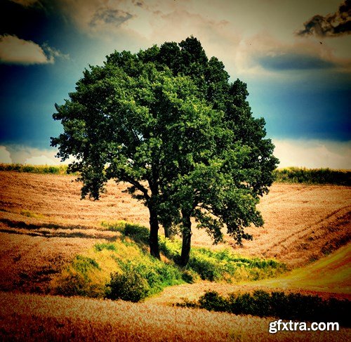 Amazing Nature - 24 UHQ JPEG