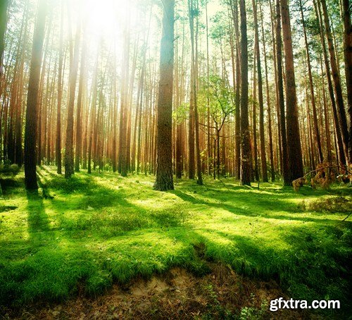 Amazing Nature - 24 UHQ JPEG