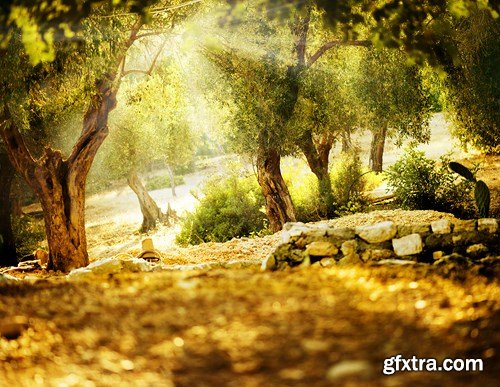 Amazing Nature - 24 UHQ JPEG