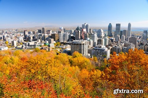 Collection autumn city from around the world yellow leaf forest area 25 HQ Jpeg