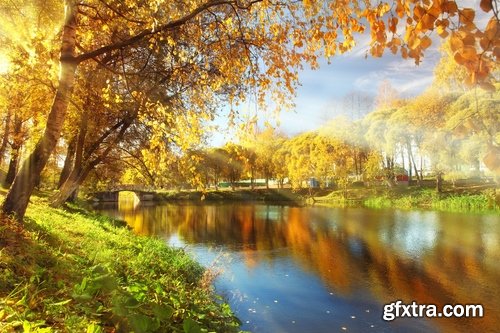 Collection autumn city from around the world yellow leaf forest area 25 HQ Jpeg
