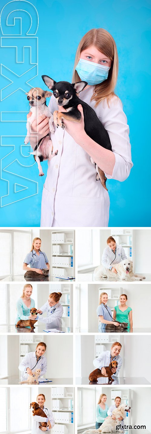 Stock Photos - Pretty young veterinarian with dogs and cats