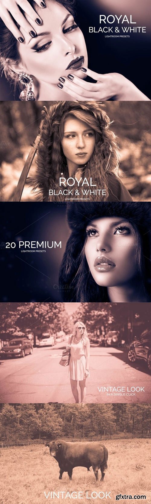 CM - Royal Black&White Lightroom Presets 341895 CM - Royal Black&White Lightroom Presets 341895