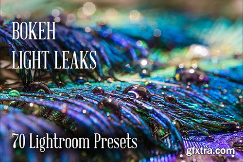CreativeMarket 70 Bokeh/Light Leaks Lr Presets 352660