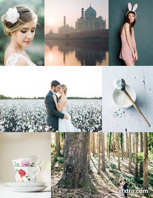 mastin labs fuji pro pack lightroom presets free download