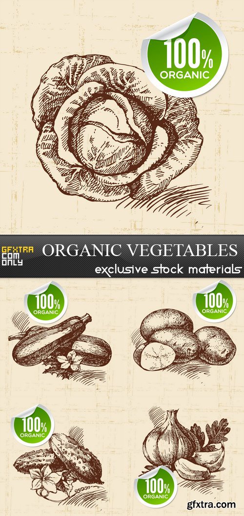 Organic Vegetables - 5xEPS