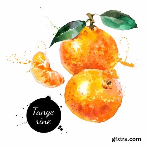 Watercolor vegetables and fruit creative atr - 25 Eps