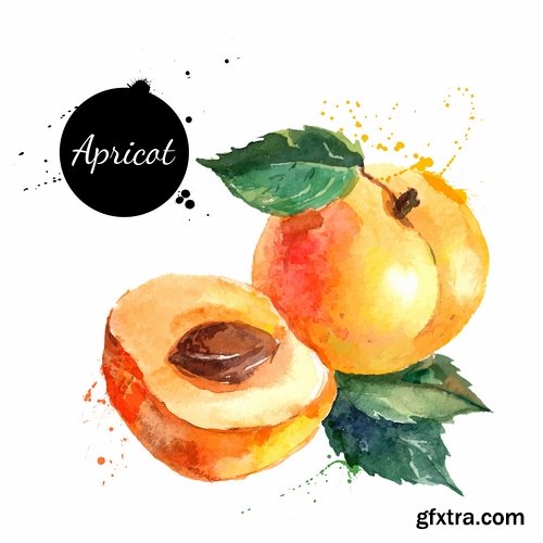 Watercolor vegetables and fruit creative atr - 25 Eps