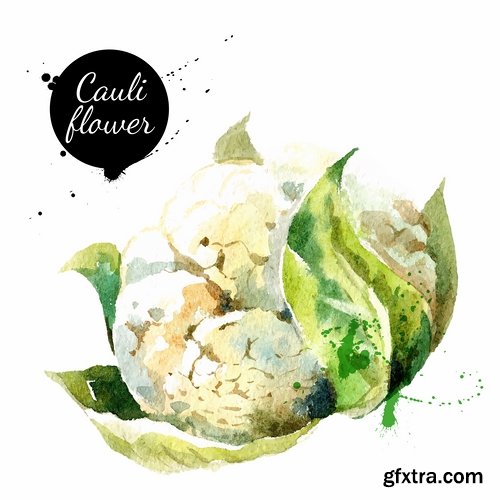 Watercolor vegetables and fruit creative atr - 25 Eps