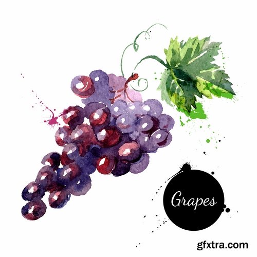 Watercolor vegetables and fruit creative atr - 25 Eps