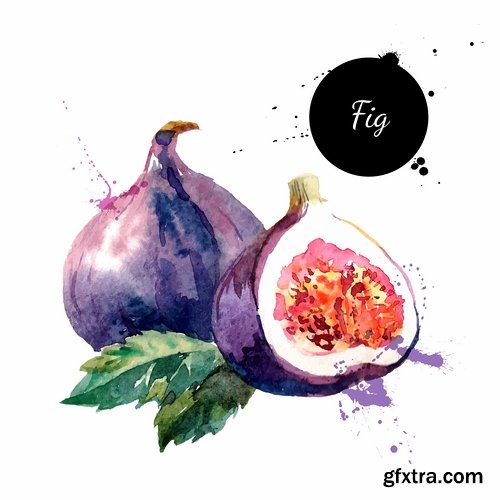 Watercolor vegetables and fruit creative atr - 25 Eps