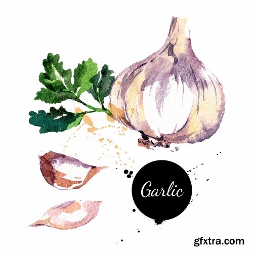 Watercolor vegetables and fruit creative atr - 25 Eps