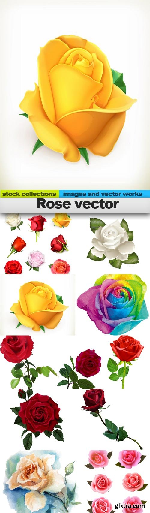 Rose vector, 10 x EPS Rose vector, 10 x EPS