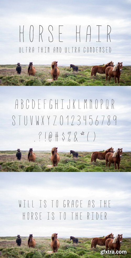 Horse Hair &ndash; Ultra Thin Font Face