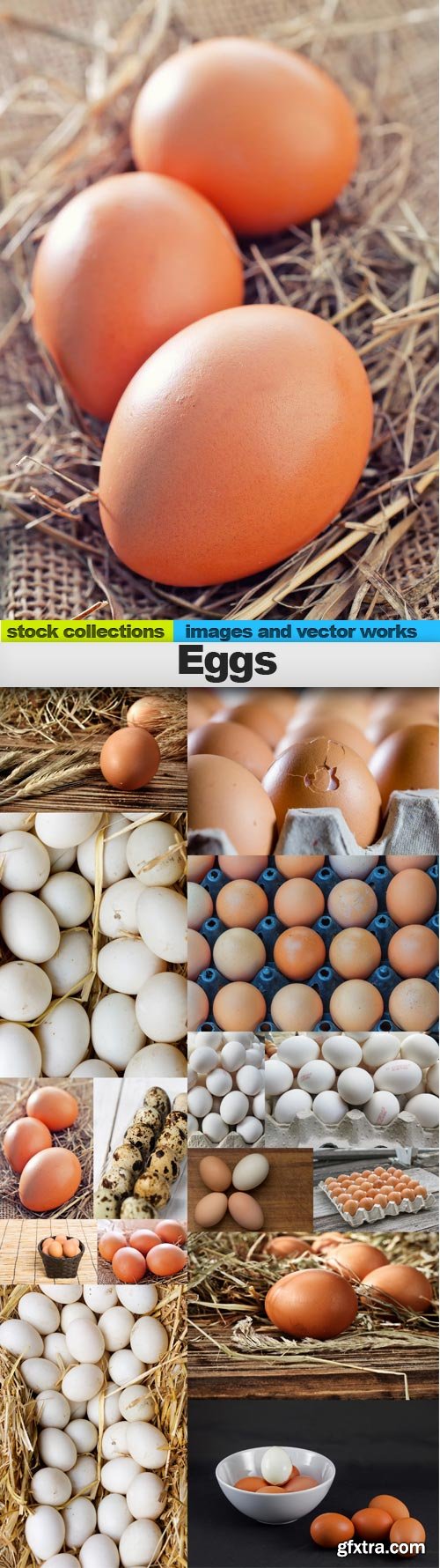 Eggs, 15 x UHQ JPEG