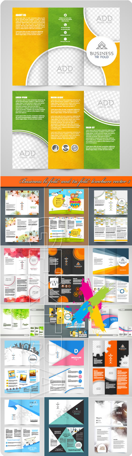 Business bi-fold and tri-fold brochure vector 5