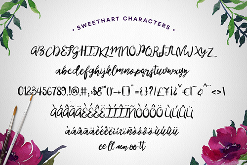 CM Sweethart Script + Vectors Font 375527 CM Sweethart Script + Vectors Font 375527