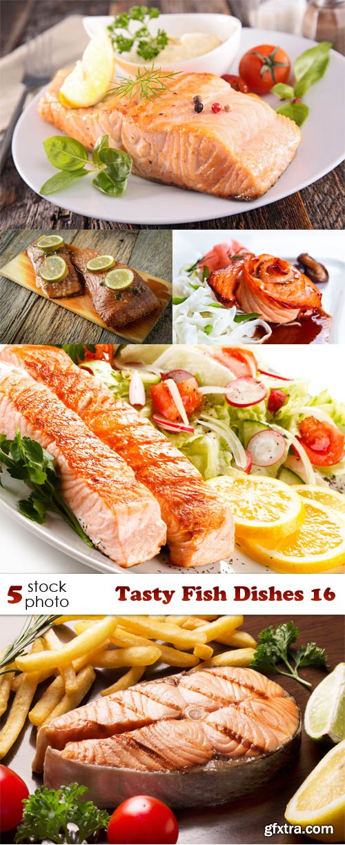Photos - Tasty Fish Dishes 16