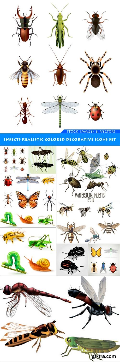 Insects realistic colored decorative icons set 9X EPS
