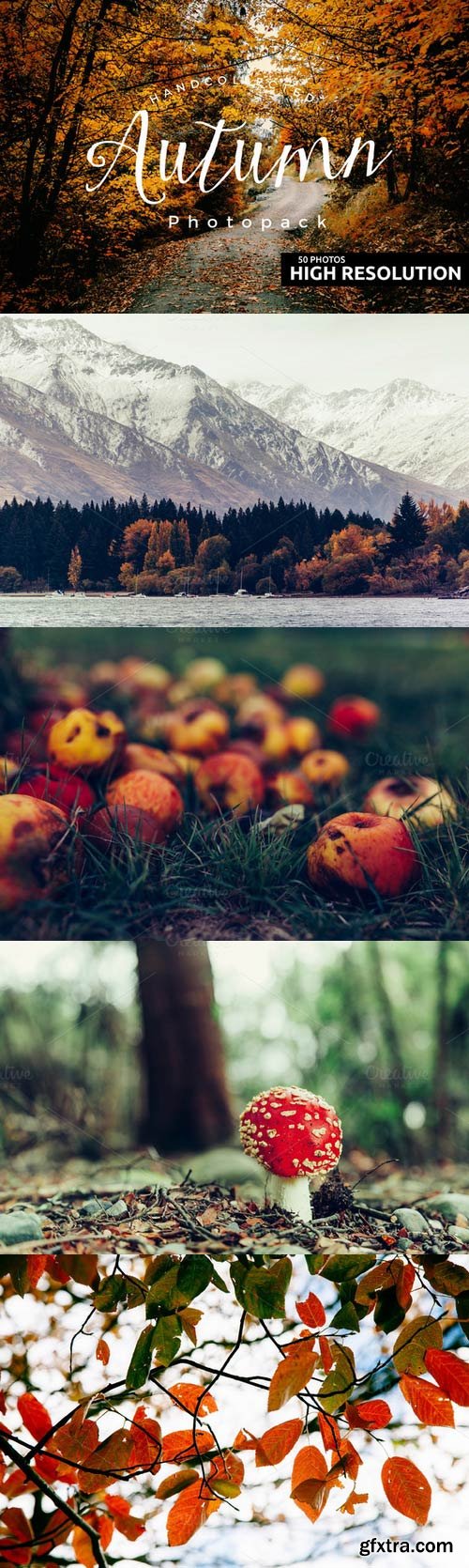 CM - 50+ Hi Res Autumn Photos 375844 CM - 50+ Hi Res Autumn Photos 375844