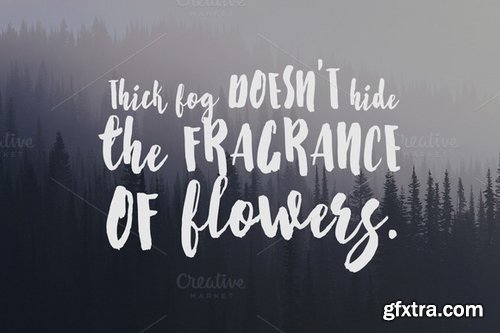 CM - Starshine script 386063 CM - Starshine script 386063