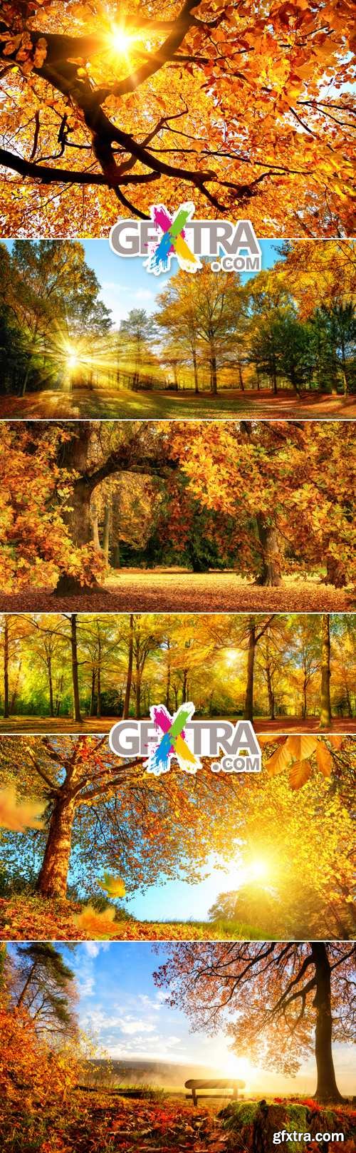 Stock Photo - Autumn 2015 Nature Backgrounds 2