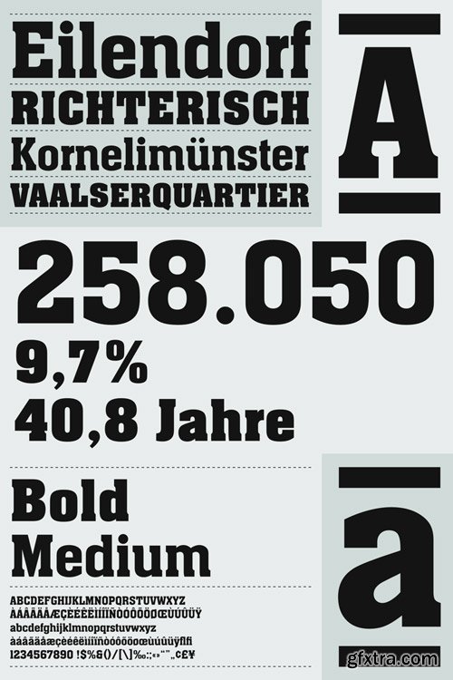 Aachen Font Family $80