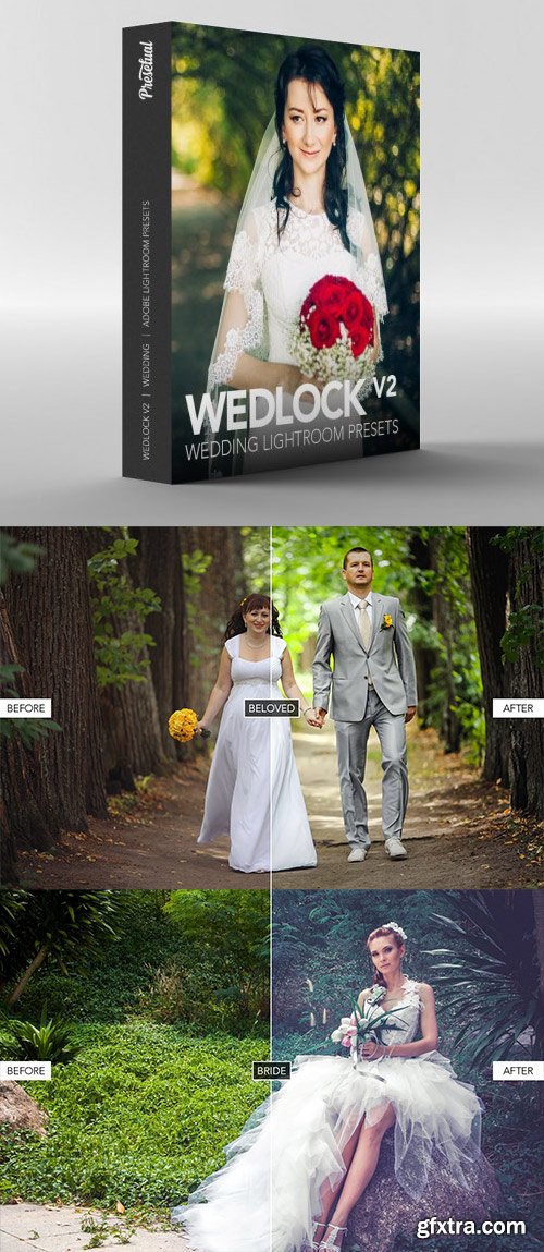 Wedlock Volume 2