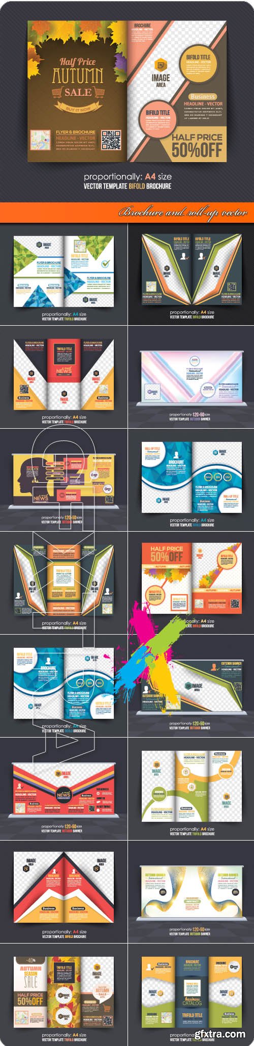 Brochure and roll-up vector