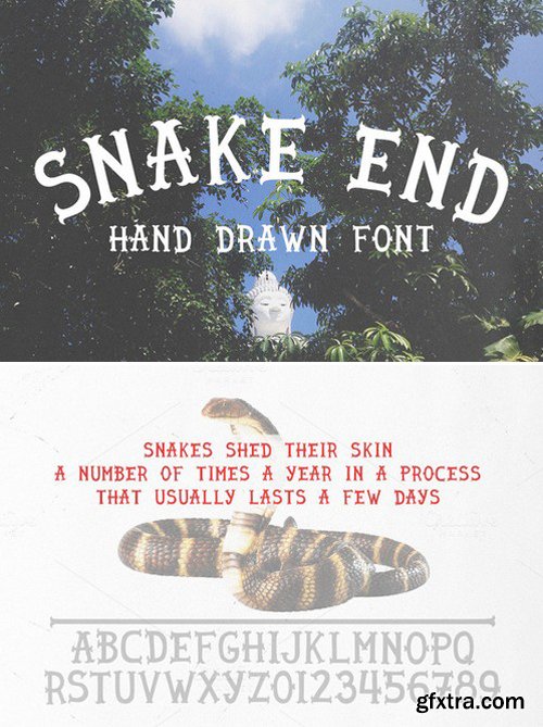 CM - Snake end - hand drawn font 423690