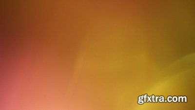 motionVFX - mLeaks [50 Professional Light Leaks Effects]