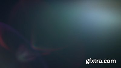 motionVFX - mLeaks [50 Professional Light Leaks Effects]