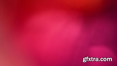 motionVFX - mLeaks [50 Professional Light Leaks Effects]