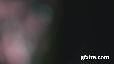motionVFX - mLeaks [50 Professional Light Leaks Effects]