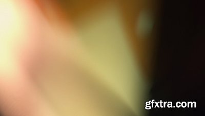 motionVFX - mLeaks [50 Professional Light Leaks Effects]