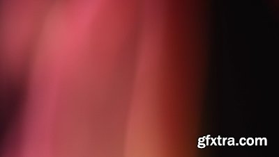 motionVFX - mLeaks [50 Professional Light Leaks Effects]